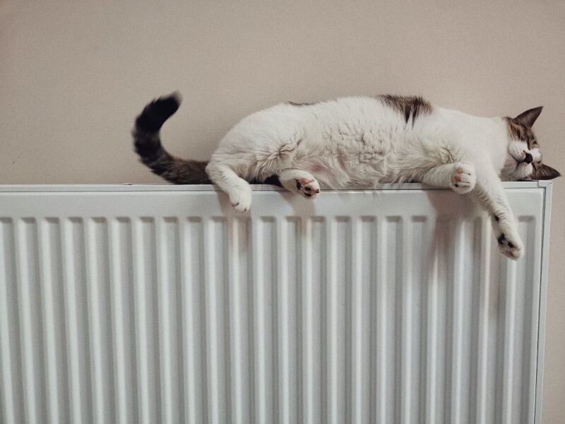 Maček leži na radiatorju