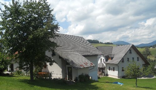 Brdarjeva kmetija, Poljane nad Škofjo Loko